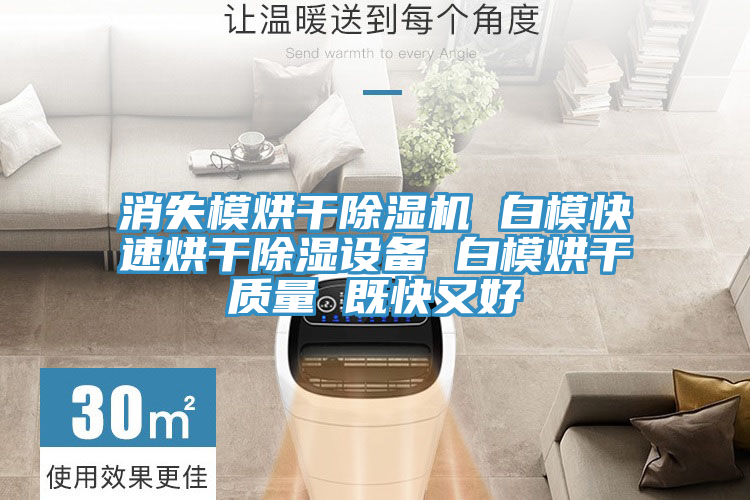 消失模烘干除濕機(jī) 白?？焖俸娓沙凉裨O(shè)備 白模烘干質(zhì)量 既快又好
