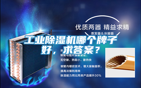 工業(yè)除濕機(jī)哪個(gè)牌子好，求答案？
