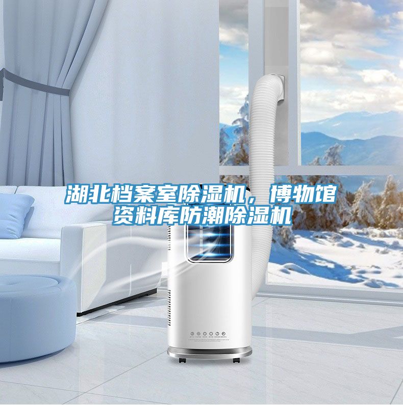 湖北檔案室除濕機(jī)，博物館資料庫(kù)防潮除濕機(jī)