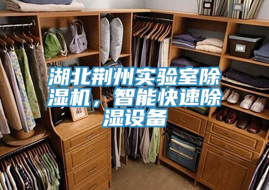 湖北荊州實(shí)驗(yàn)室除濕機(jī)，智能快速除濕設(shè)備