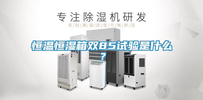 恒溫恒濕箱雙85試驗(yàn)是什么？