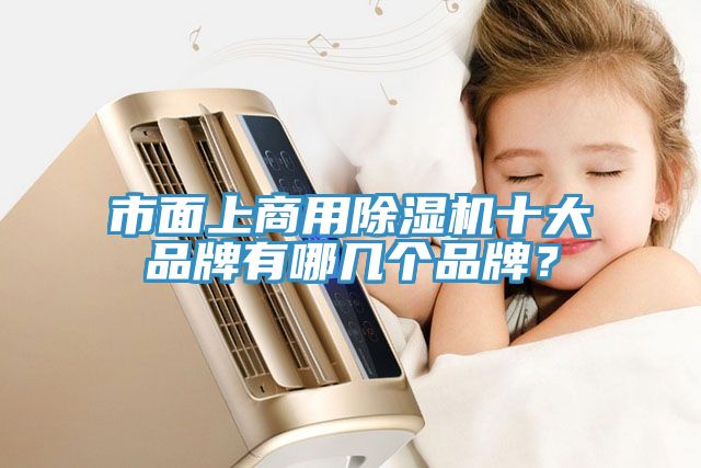 市面上商用除濕機(jī)十大品牌有哪幾個(gè)品牌？