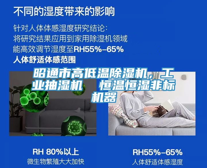 昭通市高低溫除濕機，工業(yè)抽濕機  恒溫恒濕非標機器