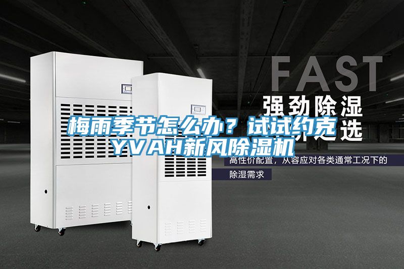 梅雨季節(jié)怎么辦？試試約克YVAH新風(fēng)除濕機(jī)