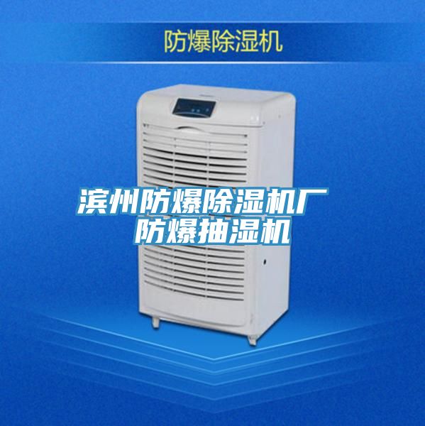 濱州防爆除濕機(jī)廠(chǎng) 防爆抽濕機(jī)