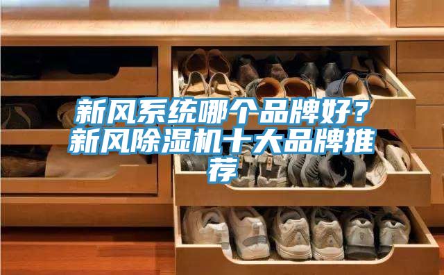 新風(fēng)系統(tǒng)哪個品牌好？新風(fēng)除濕機十大品牌推薦