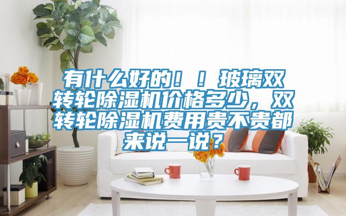 有什么好的！！玻璃雙轉(zhuǎn)輪除濕機(jī)價(jià)格多少，雙轉(zhuǎn)輪除濕機(jī)費(fèi)用貴不貴都來(lái)說(shuō)一說(shuō)？