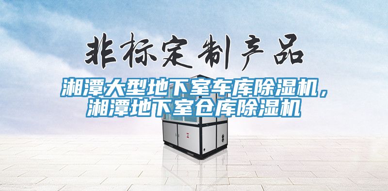 湘潭大型地下室車庫(kù)除濕機(jī)，湘潭地下室倉(cāng)庫(kù)除濕機(jī)