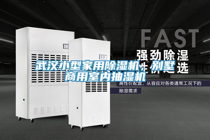 武漢小型家用除濕機，別墅商用室內(nèi)抽濕機