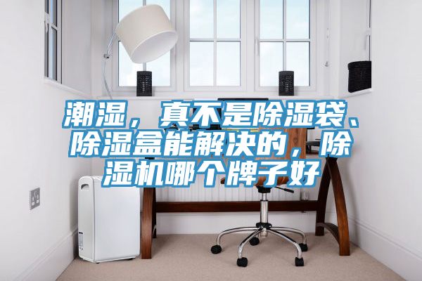 潮濕，真不是除濕袋、除濕盒能解決的，除濕機(jī)哪個(gè)牌子好