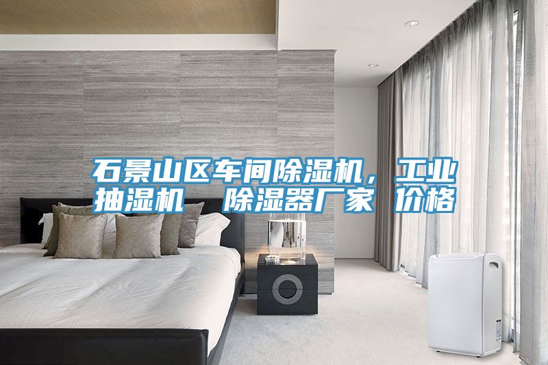 石景山區(qū)車間除濕機(jī)，工業(yè)抽濕機(jī)  除濕器廠家 價格