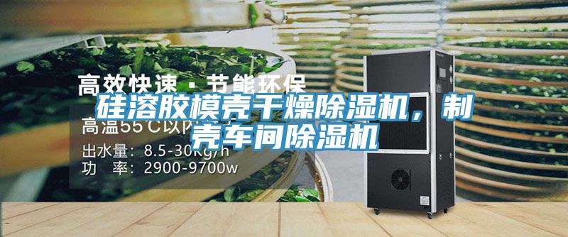 硅溶膠模殼干燥除濕機(jī)，制殼車間除濕機(jī)