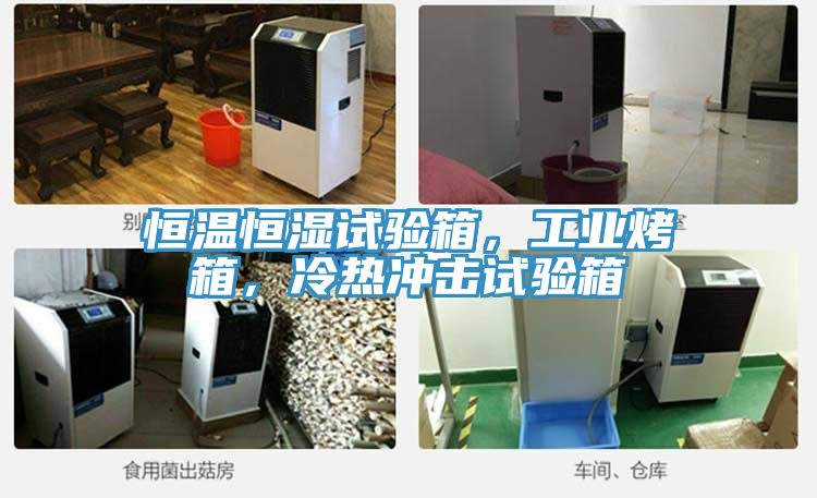 恒溫恒濕試驗箱，工業(yè)烤箱，冷熱沖擊試驗箱