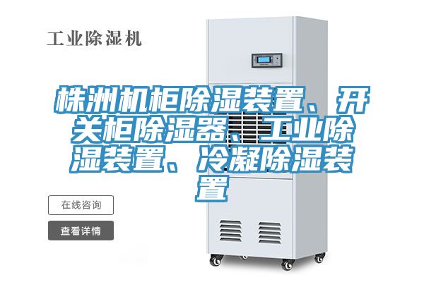 株洲機(jī)柜除濕裝置、開關(guān)柜除濕器、工業(yè)除濕裝置、冷凝除濕裝置