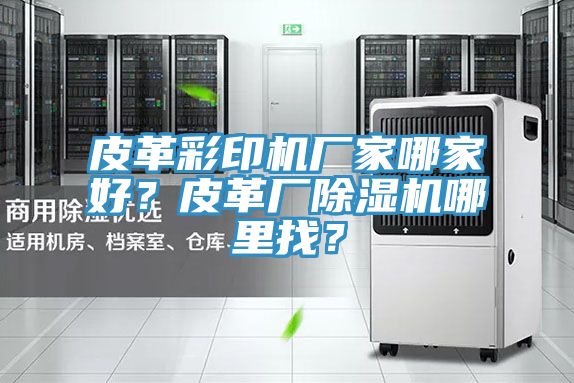 皮革彩印機廠家哪家好？皮革廠除濕機哪里找？