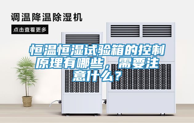 恒溫恒濕試驗(yàn)箱的控制原理有哪些，需要注意什么？