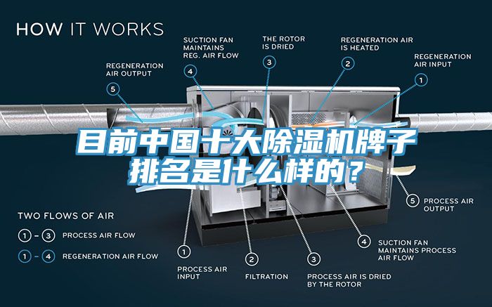目前中國十大除濕機牌子排名是什么樣的？