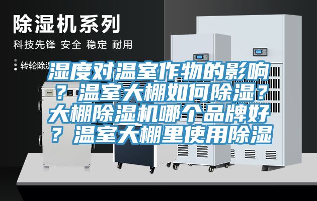 濕度對溫室作物的影響？溫室大棚如何除濕？大棚除濕機哪個品牌好？溫室大棚里使用除濕