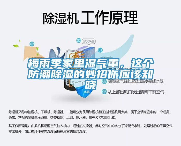 梅雨季家里濕氣重，這個防潮除濕的妙招你應(yīng)該知曉