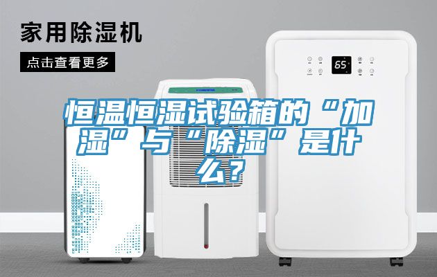 恒溫恒濕試驗箱的“加濕”與“除濕”是什么？