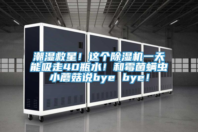 潮濕救星！這個除濕機一天能吸走40瓶水！和霉菌螨蟲小蘑菇說bye bye！