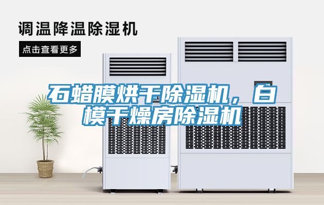 石蠟?zāi)ず娓沙凉駲C(jī)，白模干燥房除濕機(jī)