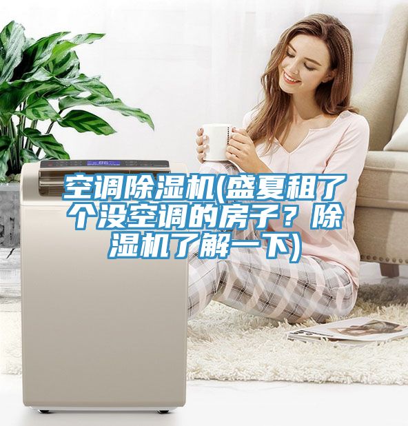 空調(diào)除濕機(jī)(盛夏租了個(gè)沒(méi)空調(diào)的房子？除濕機(jī)了解一下)