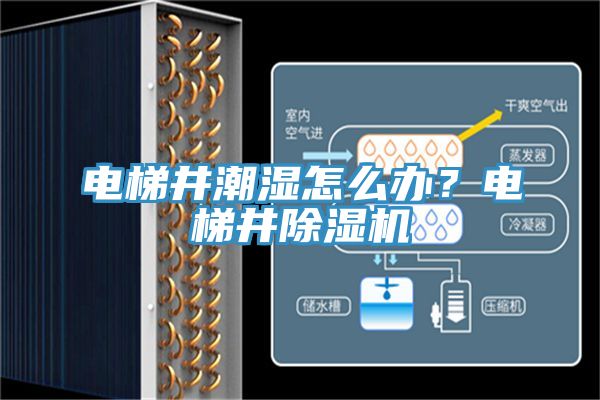 電梯井潮濕怎么辦？電梯井除濕機(jī)