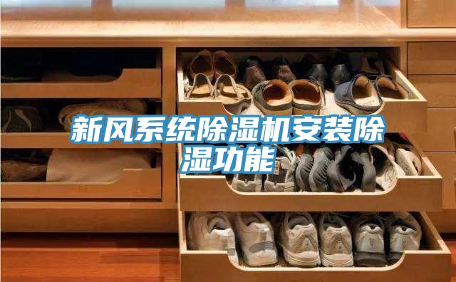 新風(fēng)系統(tǒng)除濕機安裝除濕功能