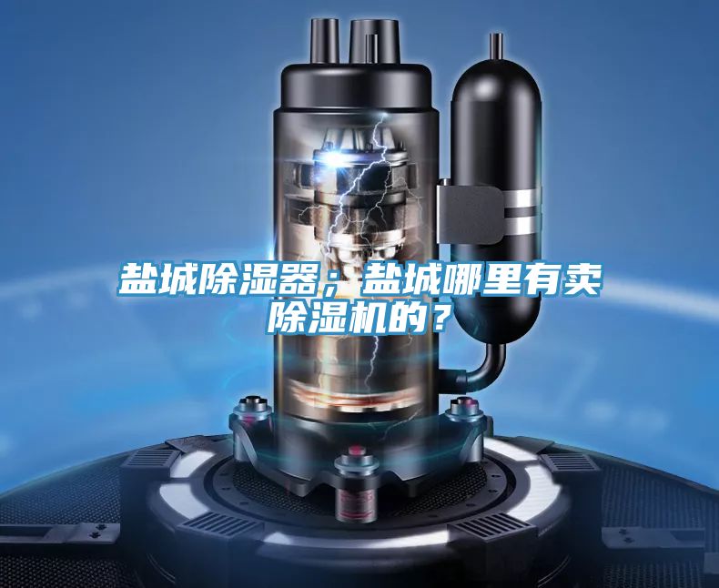 鹽城除濕器；鹽城哪里有賣除濕機的？