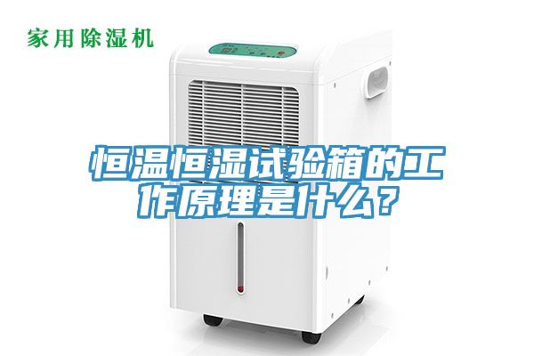 恒溫恒濕試驗(yàn)箱的工作原理是什么？