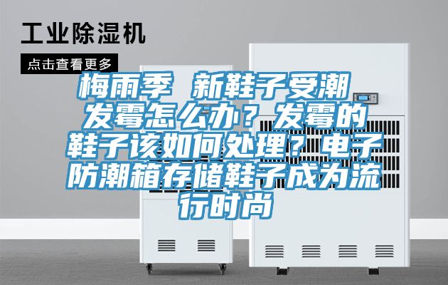 梅雨季 新鞋子受潮 發(fā)霉怎么辦？發(fā)霉的鞋子該如何處理？電子防潮箱存儲(chǔ)鞋子成為流行時(shí)尚