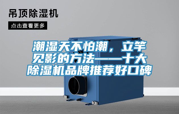 潮濕天不怕潮，立竿見(jiàn)影的方法——十大除濕機(jī)品牌推薦好口碑