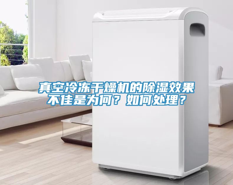 真空冷凍干燥機(jī)的除濕效果不佳是為何？如何處理？