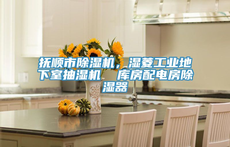 撫順市除濕機(jī)，濕菱工業(yè)地下室抽濕機(jī)  庫(kù)房配電房除濕器