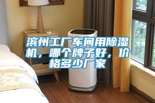 濱州工廠(chǎng)車(chē)間用除濕機(jī)，哪個(gè)牌子好，價(jià)格多少?gòu)S家