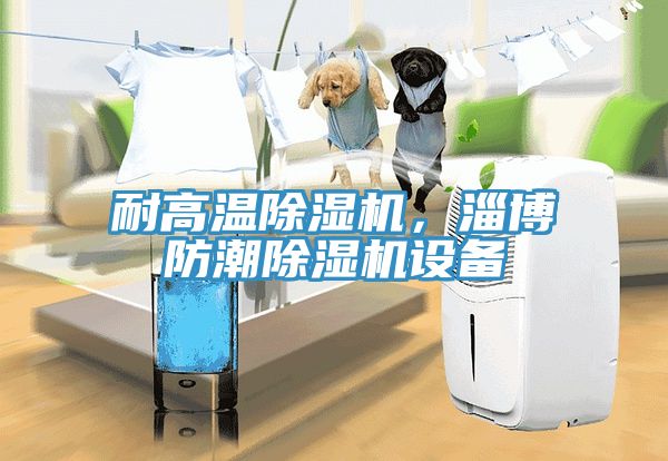 耐高溫除濕機(jī)，淄博防潮除濕機(jī)設(shè)備