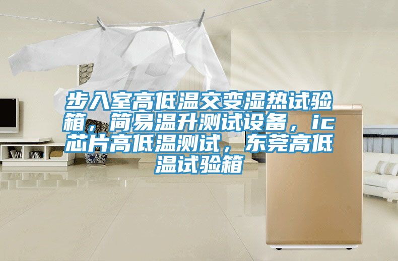 步入室高低溫交變濕熱試驗箱，簡易溫升測試設(shè)備，ic芯片高低溫測試，東莞高低溫試驗箱