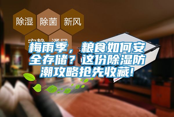 梅雨季，糧食如何安全存儲？這份除濕防潮攻略搶先收藏!