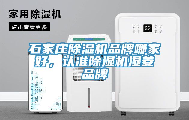 石家莊除濕機(jī)品牌哪家好，認(rèn)準(zhǔn)除濕機(jī)濕菱品牌