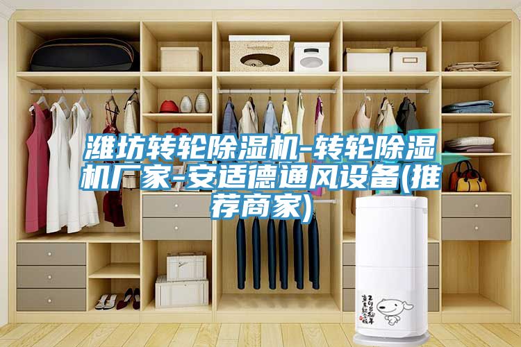 濰坊轉(zhuǎn)輪除濕機(jī)-轉(zhuǎn)輪除濕機(jī)廠(chǎng)家-安適德通風(fēng)設(shè)備(推薦商家)