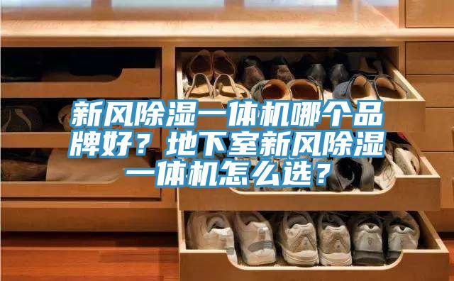 新風(fēng)除濕一體機哪個品牌好？地下室新風(fēng)除濕一體機怎么選？