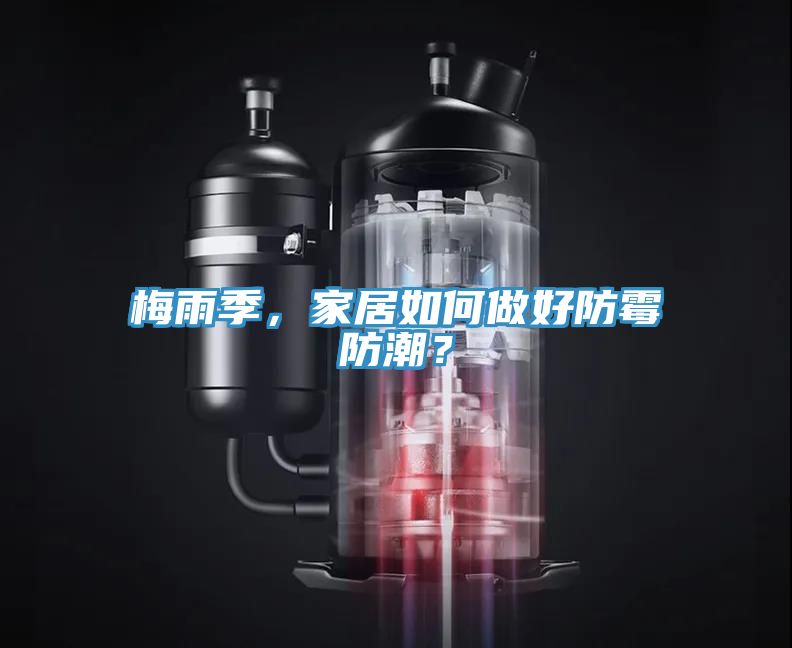 梅雨季，家居如何做好防霉防潮？