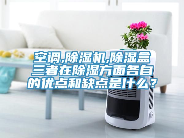 空調(diào),除濕機(jī),除濕盒三者在除濕方面各自的優(yōu)點(diǎn)和缺點(diǎn)是什么？