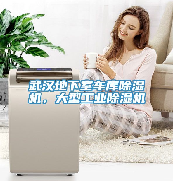 武漢地下室車庫除濕機，大型工業(yè)除濕機