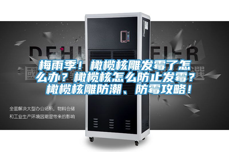 梅雨季！橄欖核雕發(fā)霉了怎么辦？橄欖核怎么防止發(fā)霉？ 橄欖核雕防潮、防霉攻略！