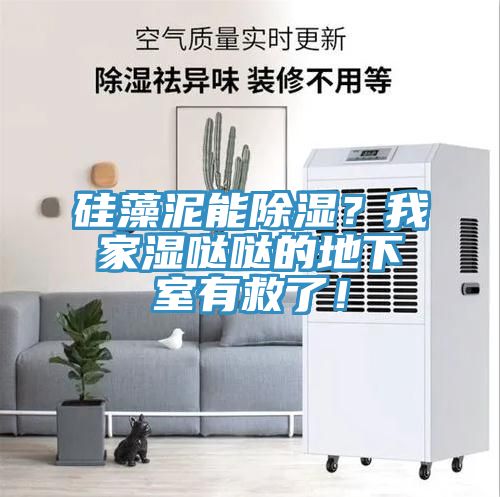 硅藻泥能除濕？我家濕噠噠的地下室有救了！