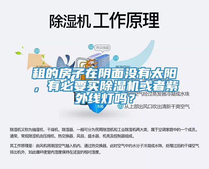 租的房子在陰面沒有太陽，有必要買除濕機(jī)或者紫外線燈嗎？