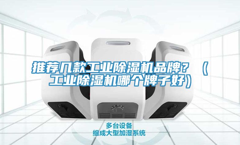 推薦幾款工業(yè)除濕機(jī)品牌？（工業(yè)除濕機(jī)哪個(gè)牌子好）