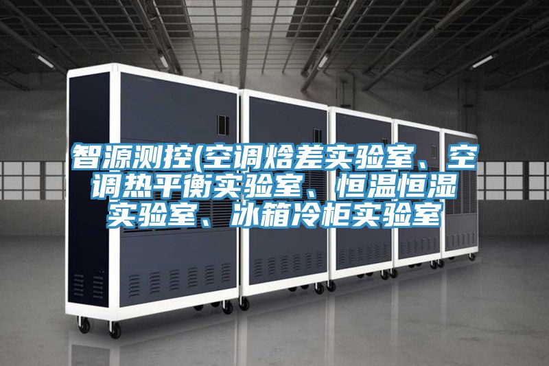 智源測(cè)控(空調(diào)焓差實(shí)驗(yàn)室、空調(diào)熱平衡實(shí)驗(yàn)室、恒溫恒濕實(shí)驗(yàn)室、冰箱冷柜實(shí)驗(yàn)室